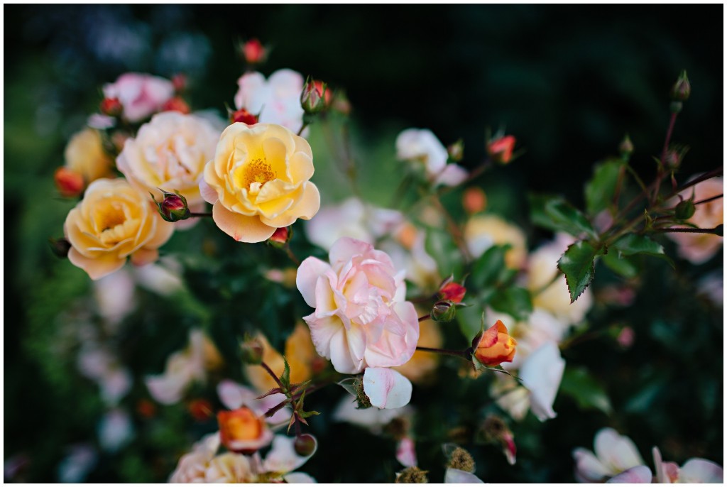 140624MomsHouse_0002