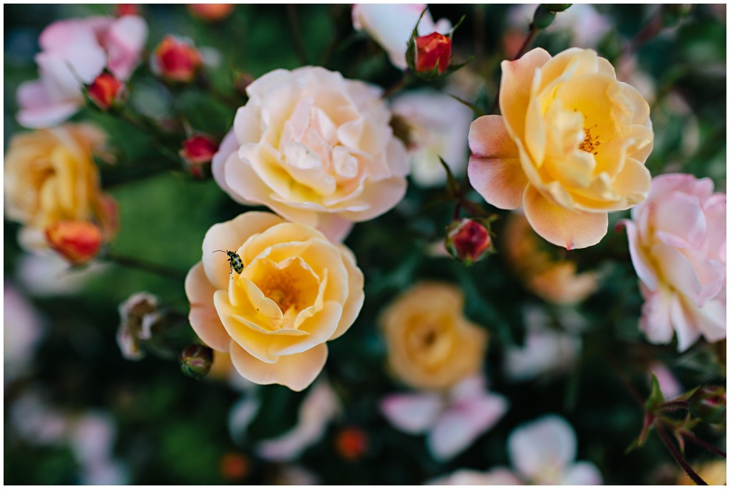 140624MomsHouse_0003