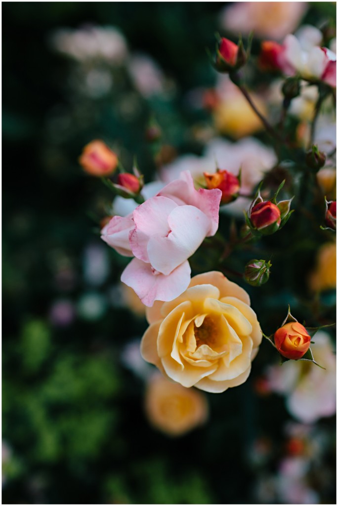 140624MomsHouse_0004