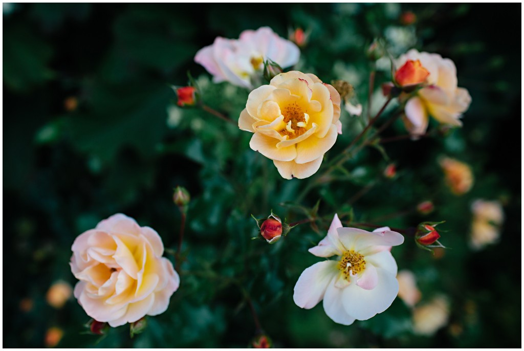 140624MomsHouse_0005