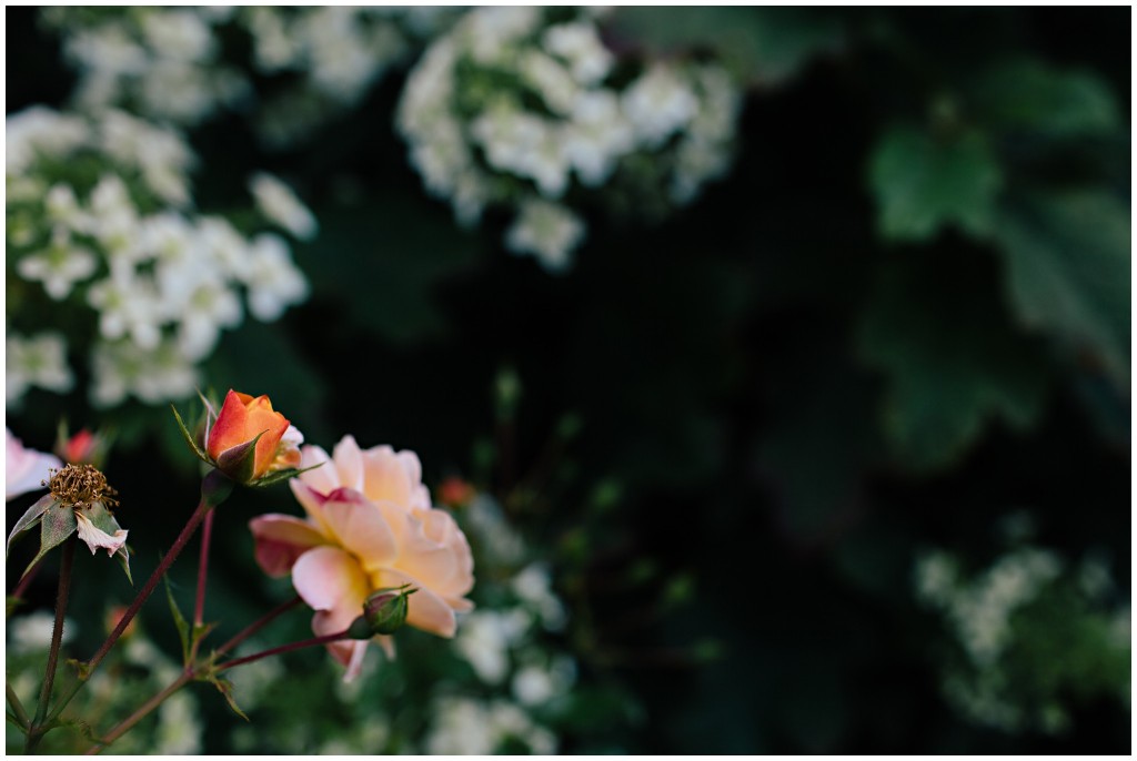 140624MomsHouse_0006