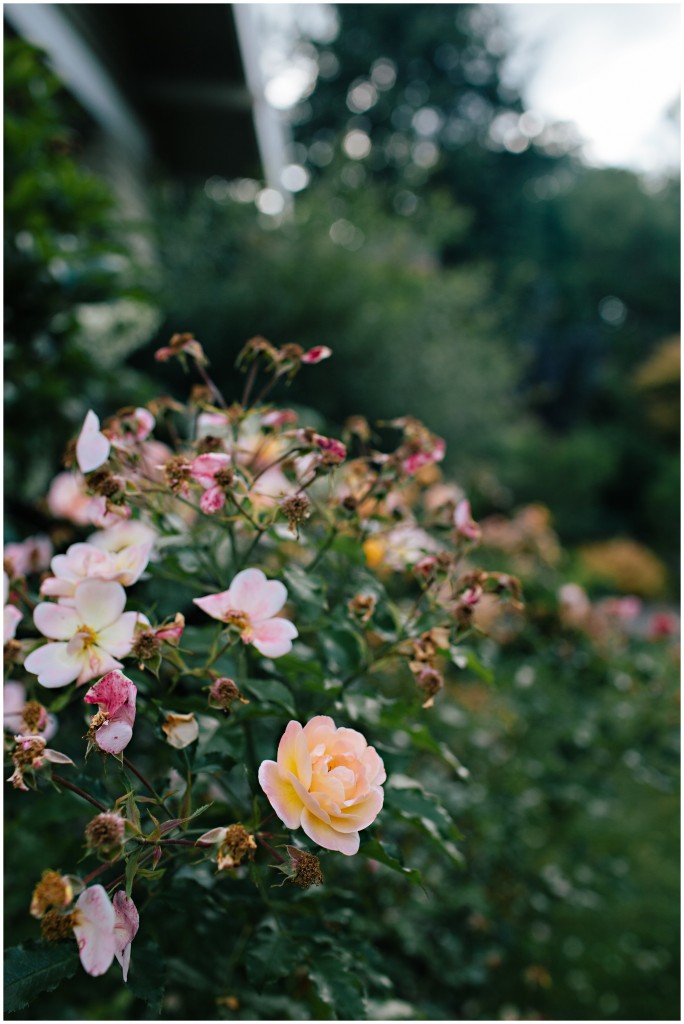 140624MomsHouse_0007