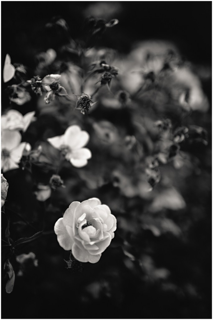 140624MomsHouse_0008