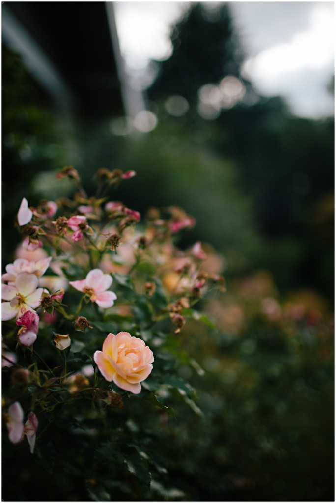 140624MomsHouse_0009