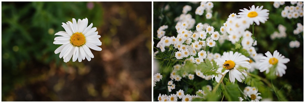 140624MomsHouse_0010