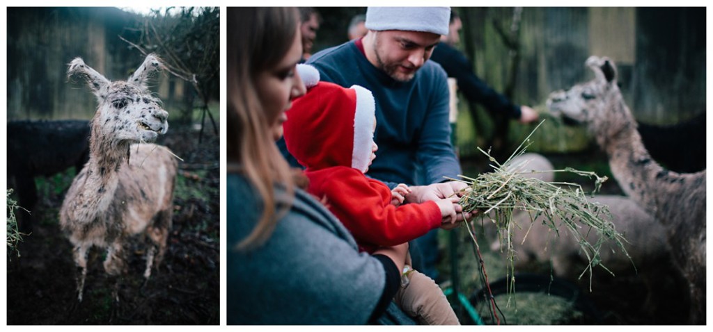 Christmas Favorites_0063