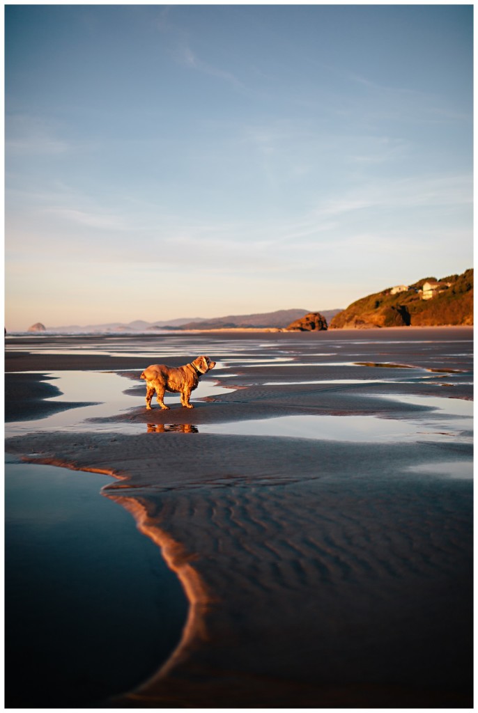 Christmas Favorites_0120