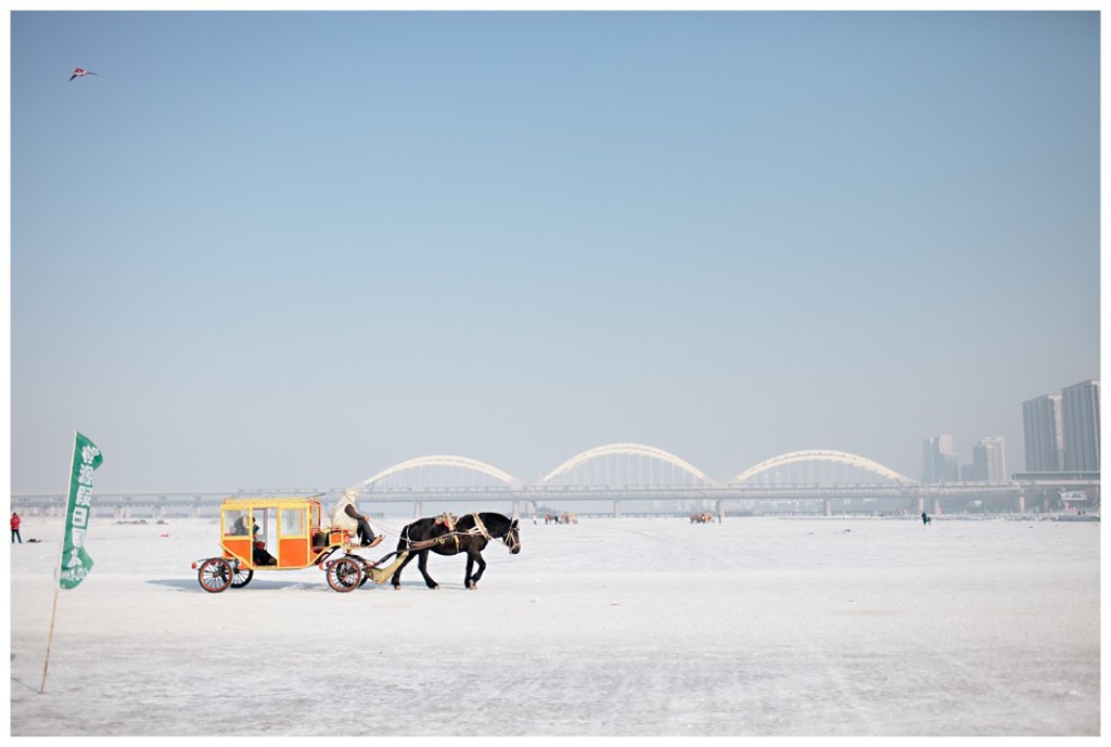 Harbin027