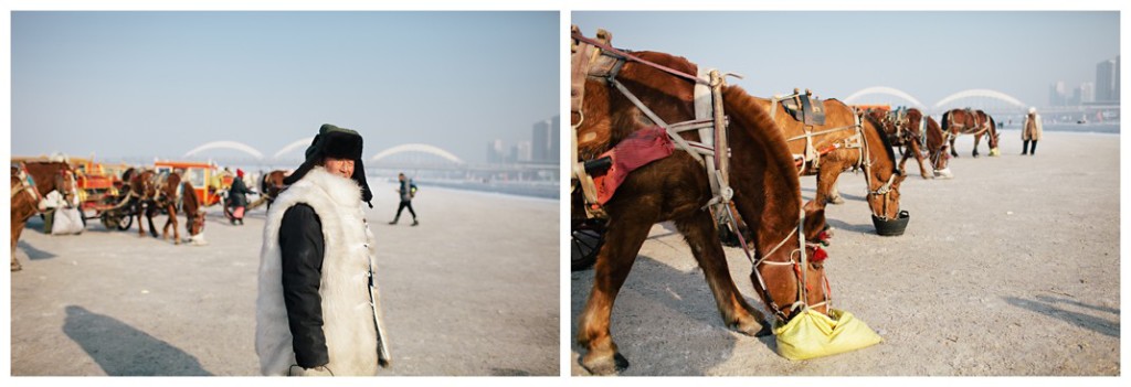 Harbin028