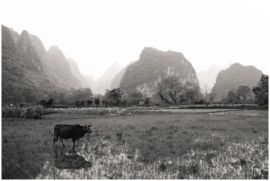 150330Yangshuo016