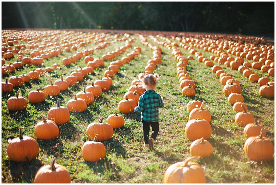 pumpkinpatch0011