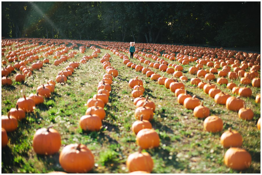 pumpkinpatch0013
