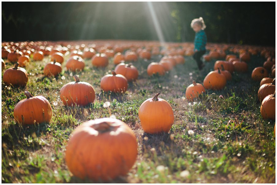 pumpkinpatch0015