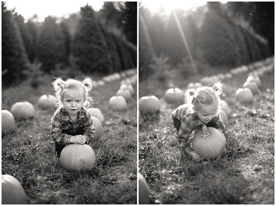 pumpkinpatch0016