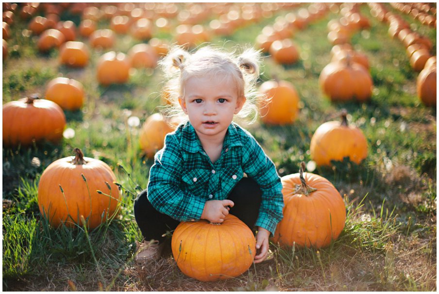 pumpkinpatch0017