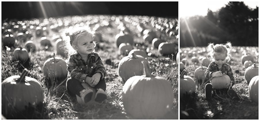 pumpkinpatch0019