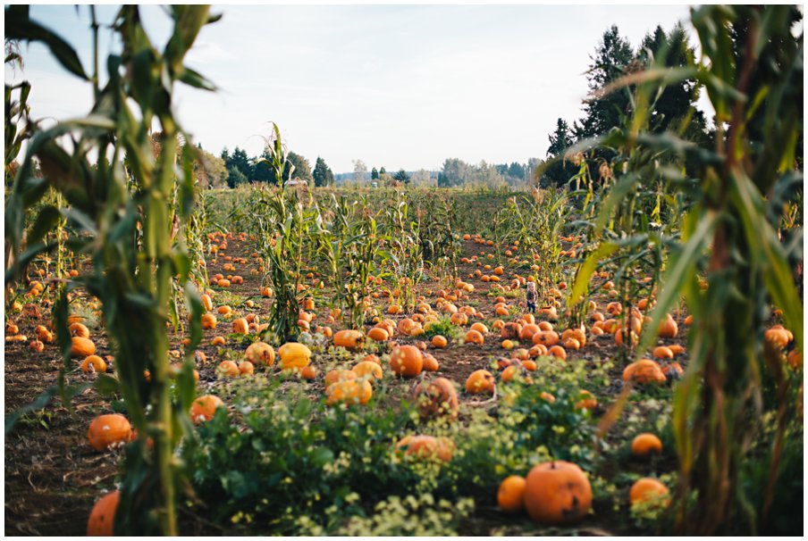 pumpkinpatch0039