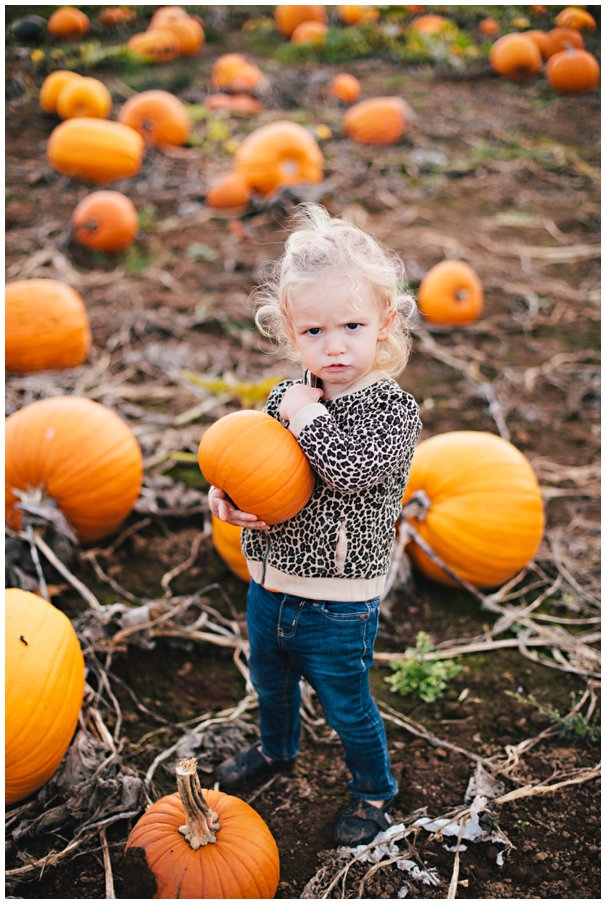 pumpkinpatch0041