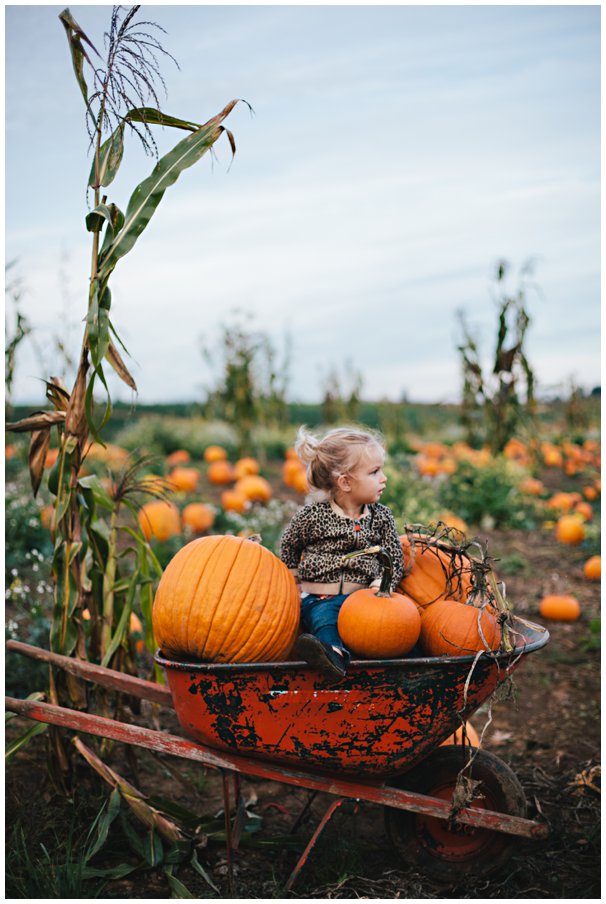 pumpkinpatch0045