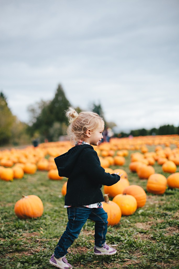 pumpkinpatch0066