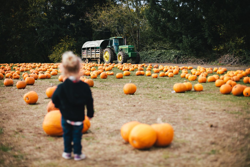 pumpkinpatch0067