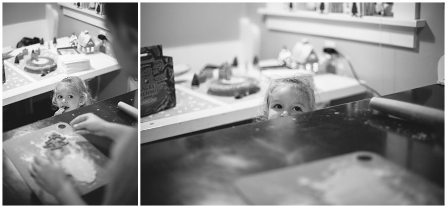 elephantcalendar0028