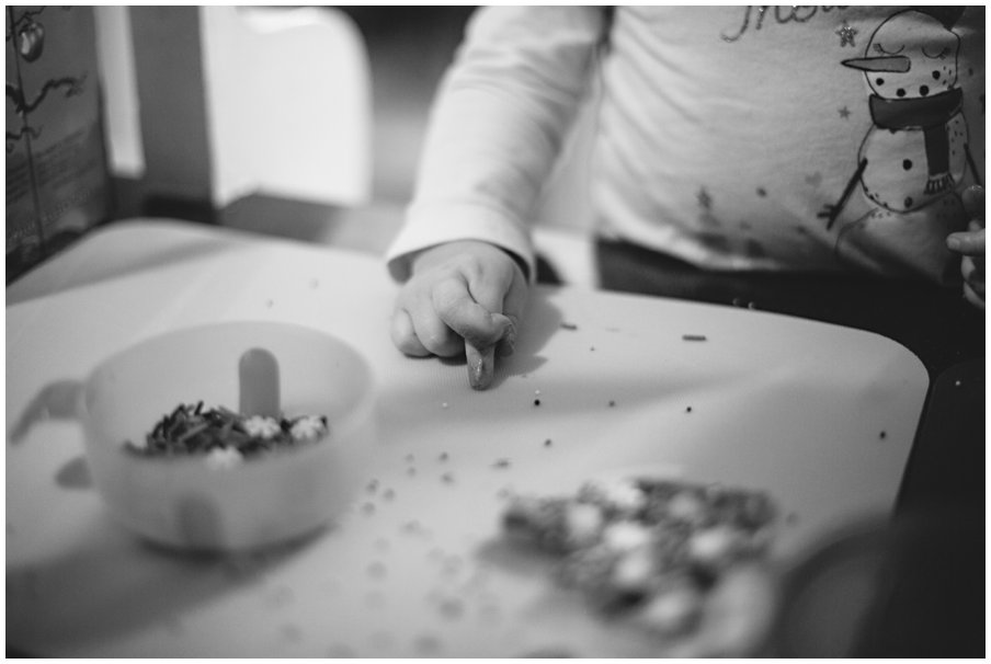 elephantcalendar0031