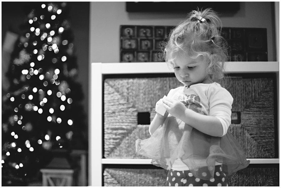 elephantcalendar0037