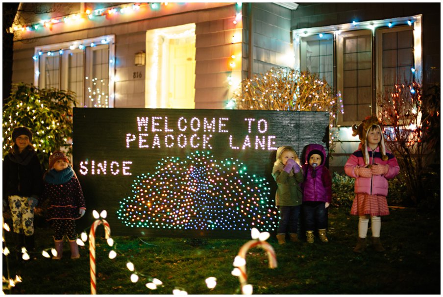 elephantcalendar0044