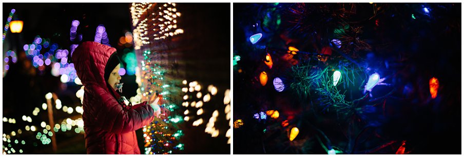 elephantcalendar0045