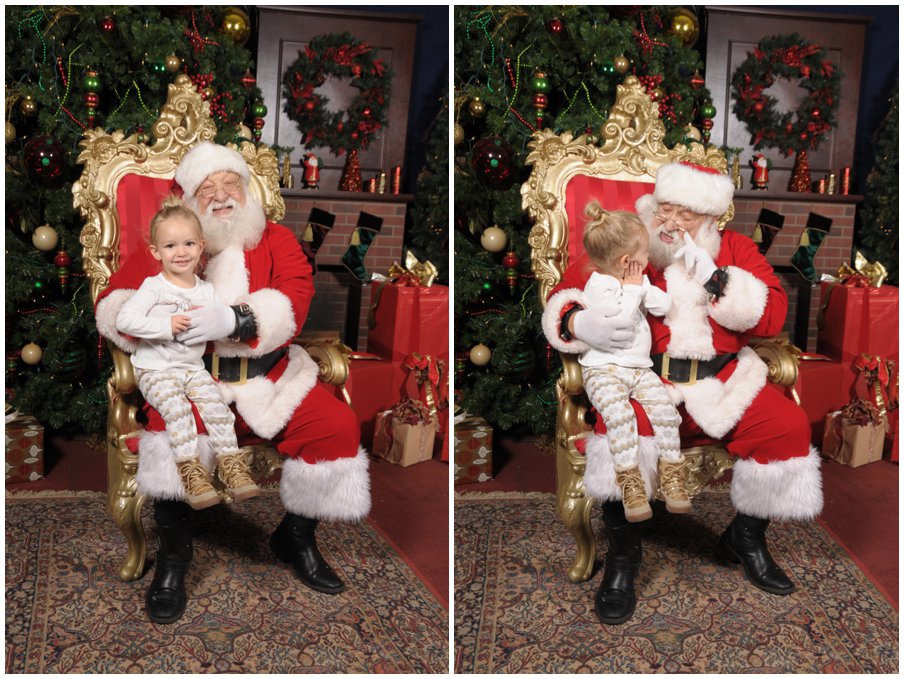 elephantcalendar0046