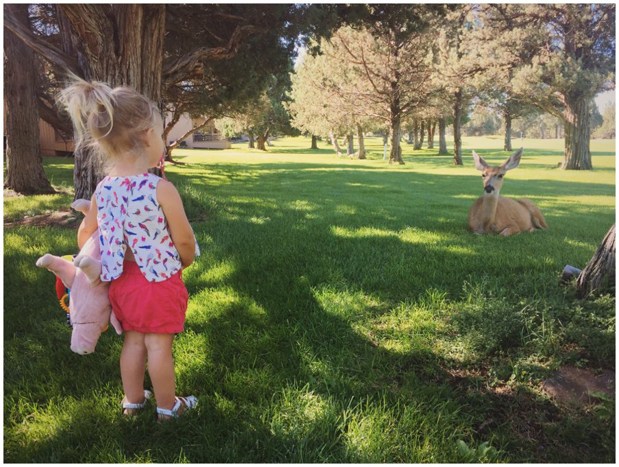 Processed with VSCOcam with kk2 preset