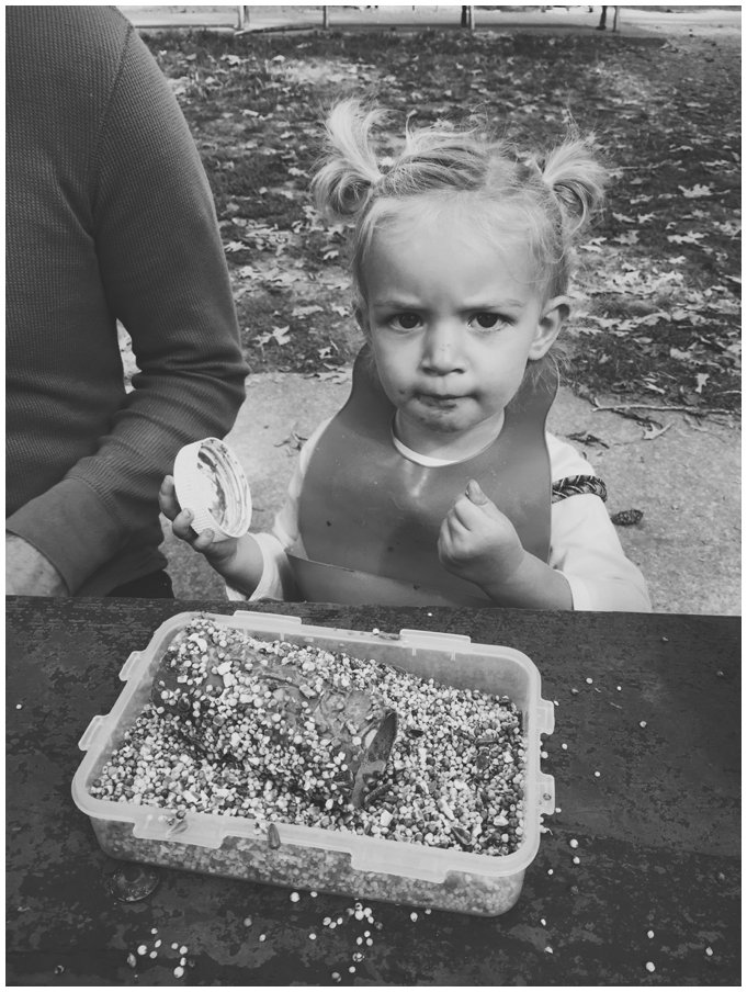 Processed with VSCOcam with b1 preset