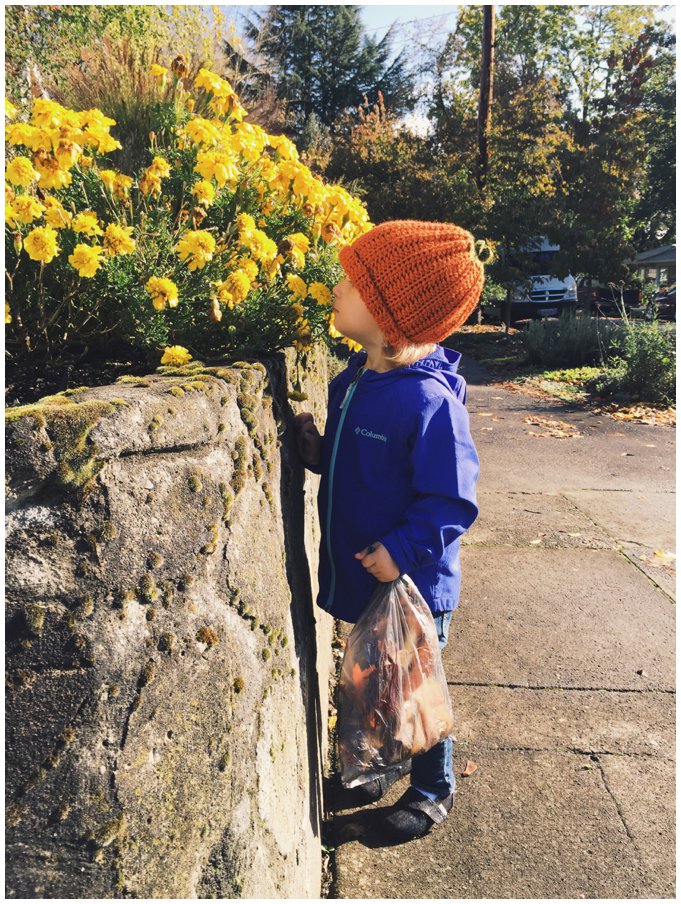 Processed with VSCOcam with g3 preset