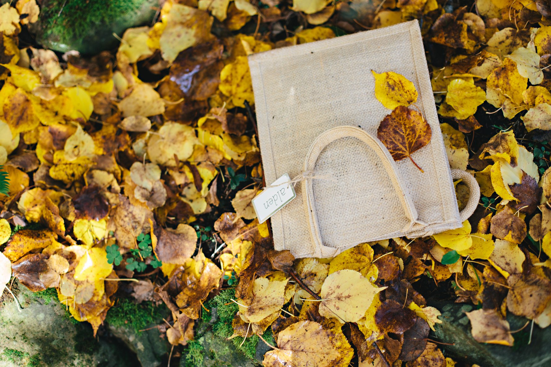 islacollectionpartyblog0040