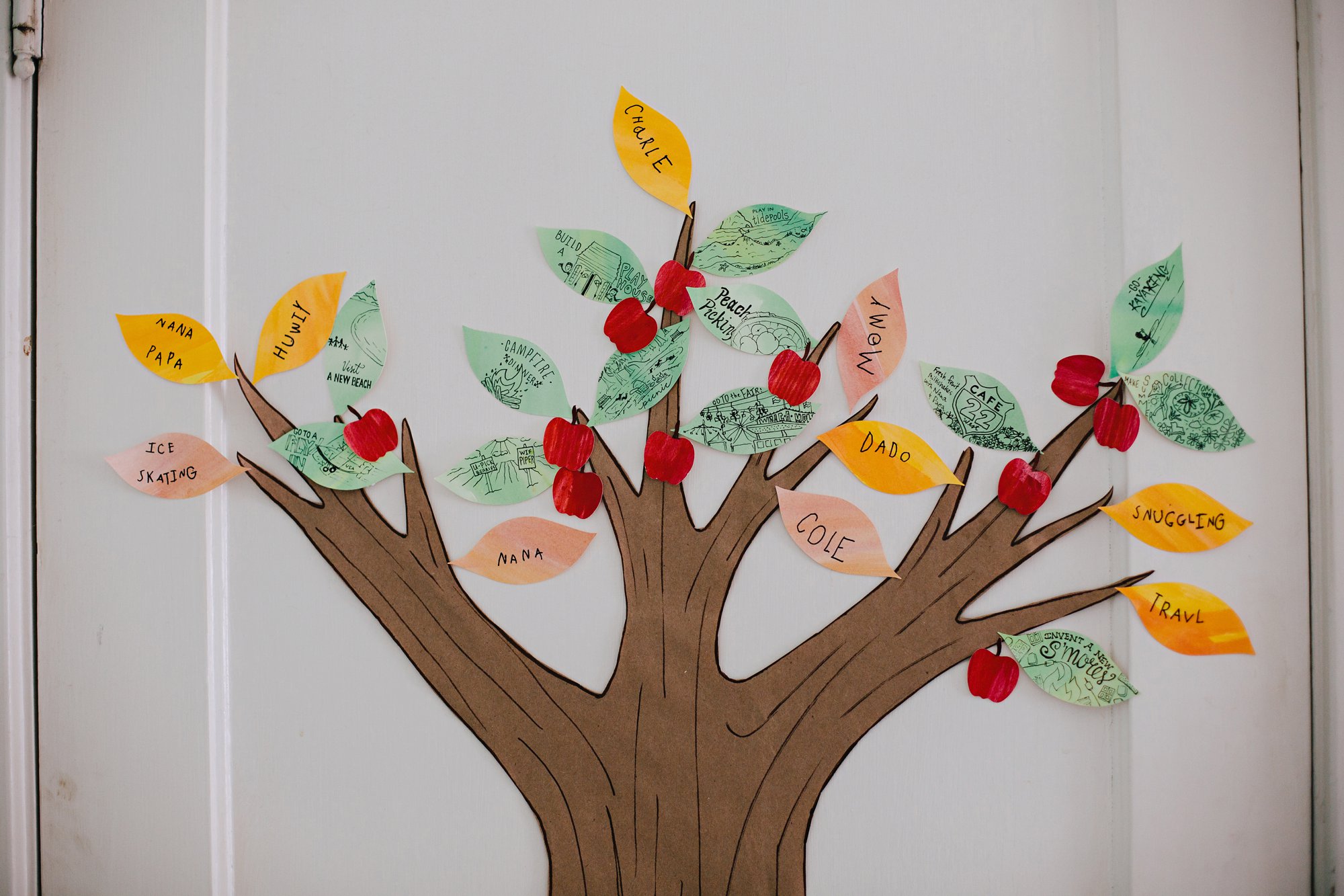 This image has an empty alt attribute; its file name is 191104FalltoSummerLeaves0007_WEB.jpg